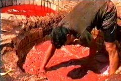 FOTOS (251) � IMAGEN FOTOGRAFIA